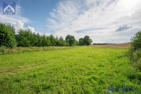 Działka rolna na sprzedaż, 4200 m2, Szczodrowo