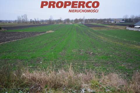 Działka 6800m2, Michałów, pińczowski