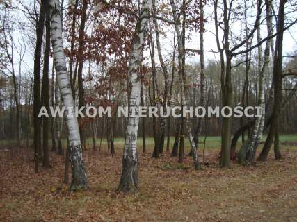Działka budowlana na sprzedaż, 3000 m2, Żabia Wola