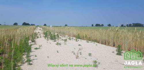 Działka z warunkami zabudowy, wodą i prądem 3000m2