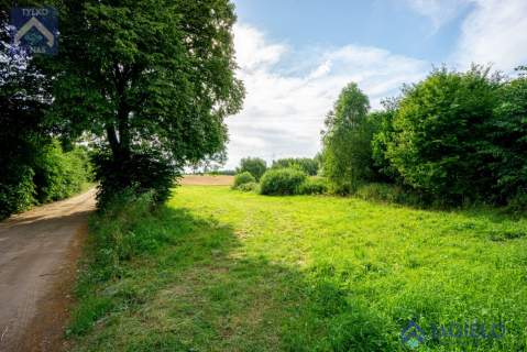 Działka rolna na sprzedaż, 4200 m2, Szczodrowo