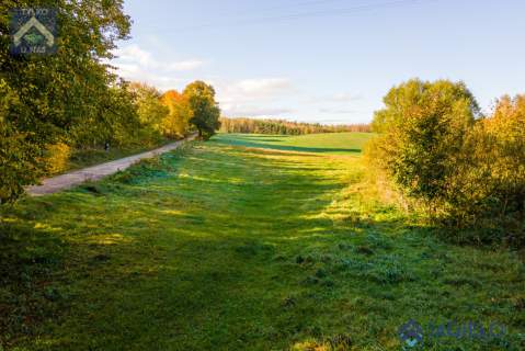 Działka rolna na sprzedaż, 4200 m2, Szczodrowo