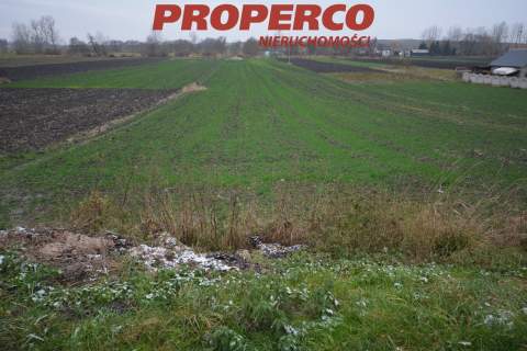 Działka 6800m2, Michałów, pińczowski