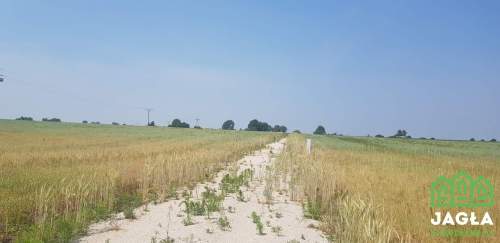 Działka z warunkami zabudowy, wodą i prądem 3000m2