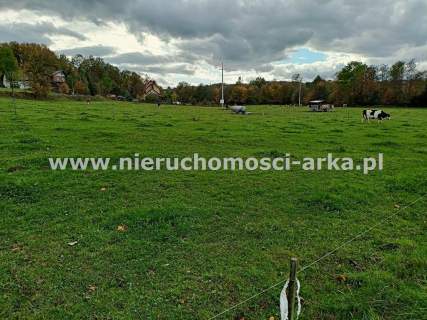 Atrakcyjna działka budowlana - idealna pod usługi