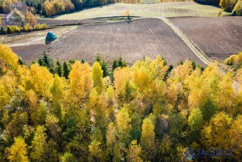Działka siedliskowa na sprzedaż, 3000 m2, Borzestowo