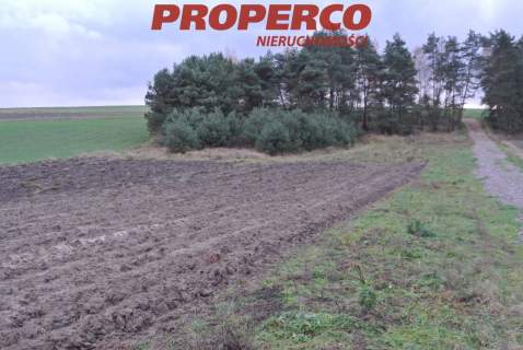 Działka 774 m2, Borki, Jędrzejów