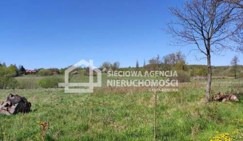 Na sprzedaż działka rolna 10005m2 Buszkowy Górne