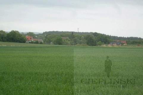 Działka rolna na sprzedaż, 11100 m2, Siadło Górne