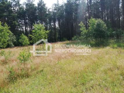 Działka na leśnej polanie OAZA CISZY spokój 6400m