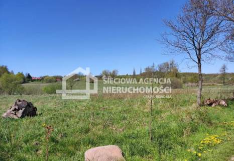 Na sprzedaż działka rolna 10005m2 Buszkowy Górne