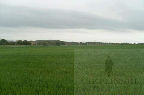 Działka rolna na sprzedaż, 11100 m2, Siadło Górne