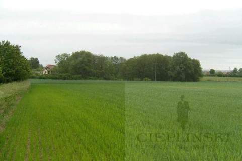 Działka rolna na sprzedaż, 11100 m2, Siadło Górne