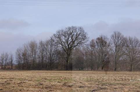 Działka rolna na sprzedaż, 3000 m2, Jarzębowo