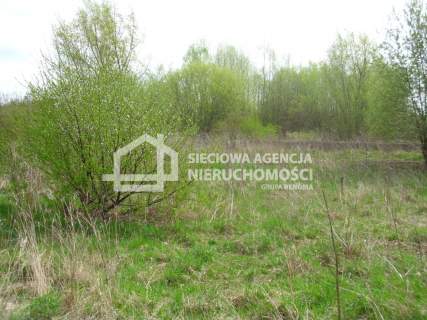 Sielskie życie, natura TO TU - blisko KOLBUD