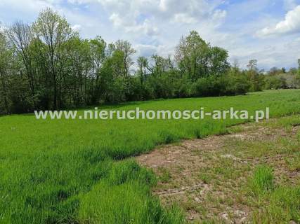 Duża działka usługowa 30km od Krakowa
