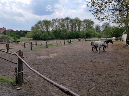 IGNATKI OSIEDLE 1,36ha media Oferta dla dewelopera