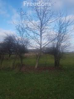 Działka we wsi Zawady gm. Rzeczyca- 0,3010 HA.
