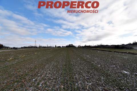 Działka, pow. 6000m2, Stara Słupia, gm.Nowa Słupia