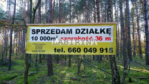 Urokliwa działka leśna nad Wartą, 4800m2 
