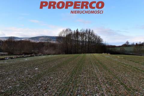 Działka, pow. 6000m2, Stara Słupia, gm.Nowa Słupia