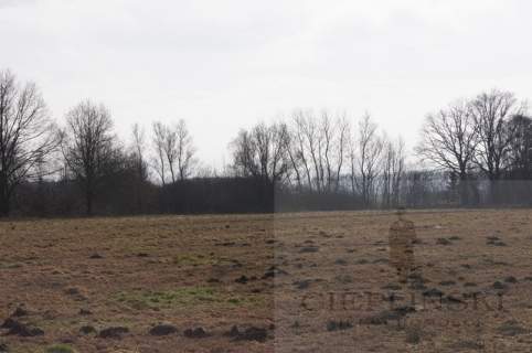 Działka rolna na sprzedaż, 3000 m2, Jarzębowo