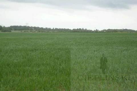 Działka rolna na sprzedaż, 11100 m2, Siadło Górne