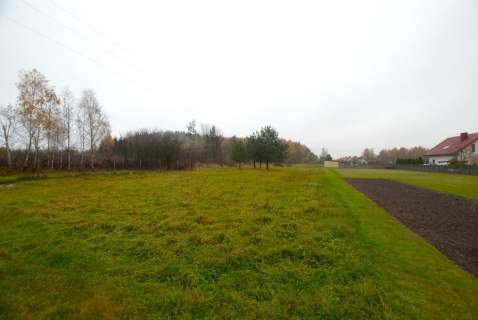 Działka 4282 m2, Mójcza gm. Daleszyce 
