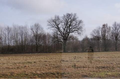 Działka rolna na sprzedaż, 3000 m2, Jarzębowo