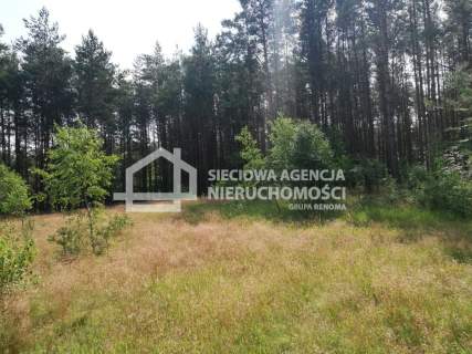 Działka na leśnej polanie OAZA CISZY spokój 6400m