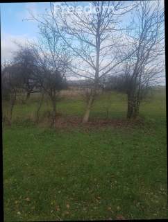 Działka we wsi Zawady gm. Rzeczyca- 0,3010 HA.