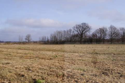 Działka rolna na sprzedaż, 3000 m2, Jarzębowo