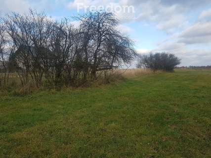 Działka we wsi Zawady gm. Rzeczyca- 0,3010 HA.