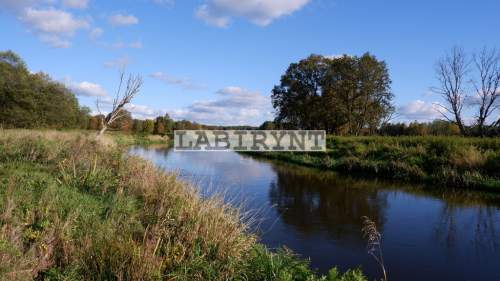 Urokliwa działka leśna nad Wartą, 4800m2 