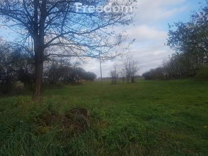 Działka we wsi Zawady gm. Rzeczyca- 0,3010 HA.