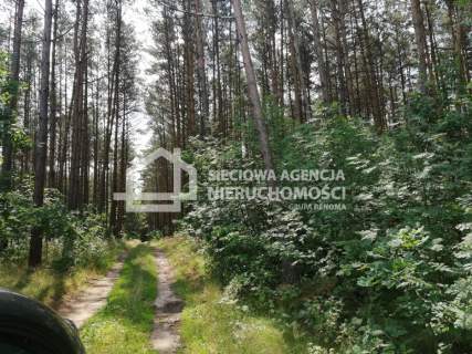 Działka na leśnej polanie OAZA CISZY spokój 6400m