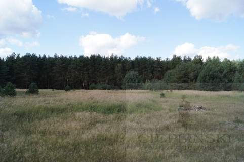 Działka na sprzedaż, 10546 m2, Sowno