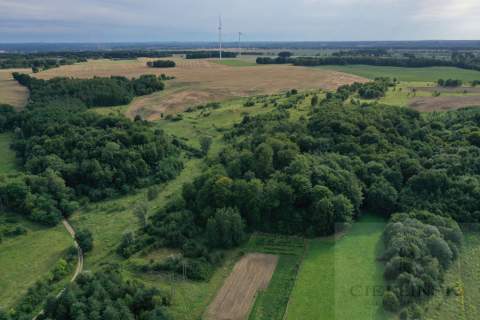 Nieruchomość gruntowa w Prusinowie gmina Łobez 