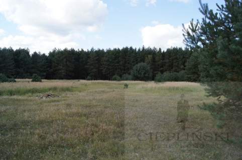 Działka na sprzedaż, 10546 m2, Sowno