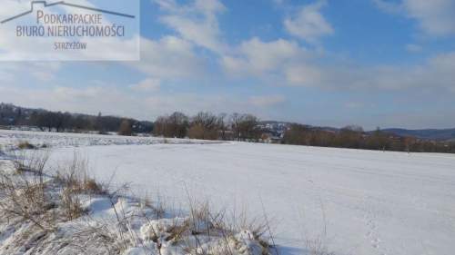 Działka budowlana na sprzedaż, 3012 m2, Kobyle