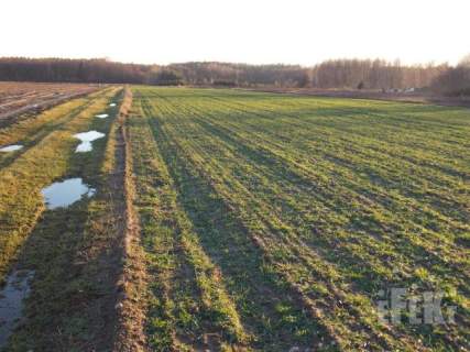 Działka rolna na sprzedaż, 10900 m2, Lisowola