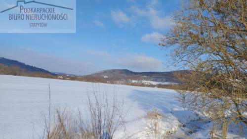 Działka budowlana na sprzedaż, 3012 m2, Kobyle
