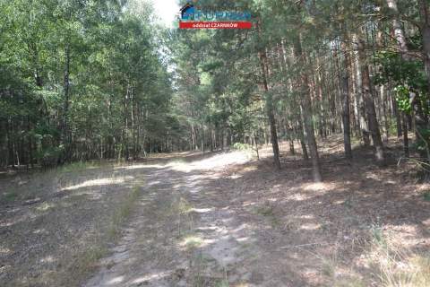 działka na sprzedaż w Antoniewie