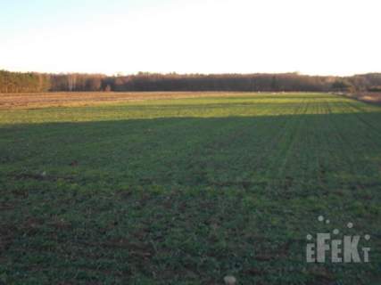 Działka rolna na sprzedaż, 10900 m2, Lisowola