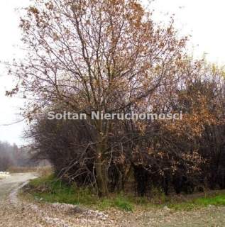 Działka inwestycyjna na sprzedaż, 1080000 m2, Pawłowice