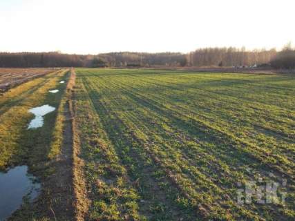 Działka rolna na sprzedaż, 10900 m2, Lisowola