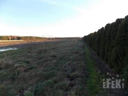 Działka rolna na sprzedaż, 10900 m2, Lisowola