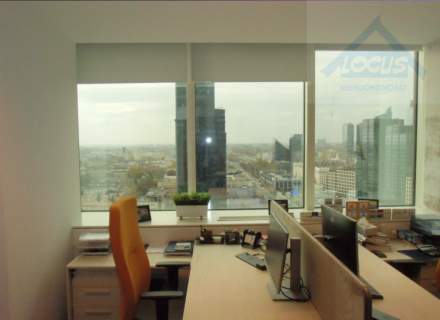 Biuro 309 m2 wynajem Centrum