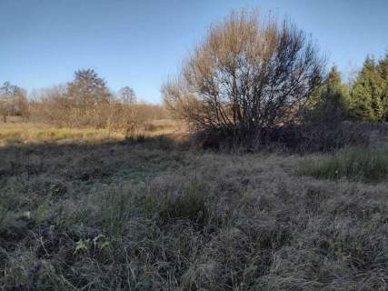 Działka rekreacyjna, rolna, pod staw, zalesienie