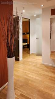 3 pokojowy apartament przy ulicy -Lea